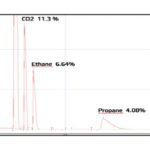 Separation of biomethane components - 1